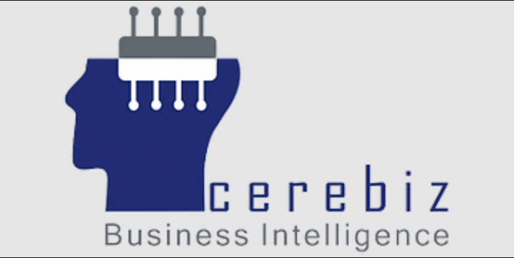 Cerebiz