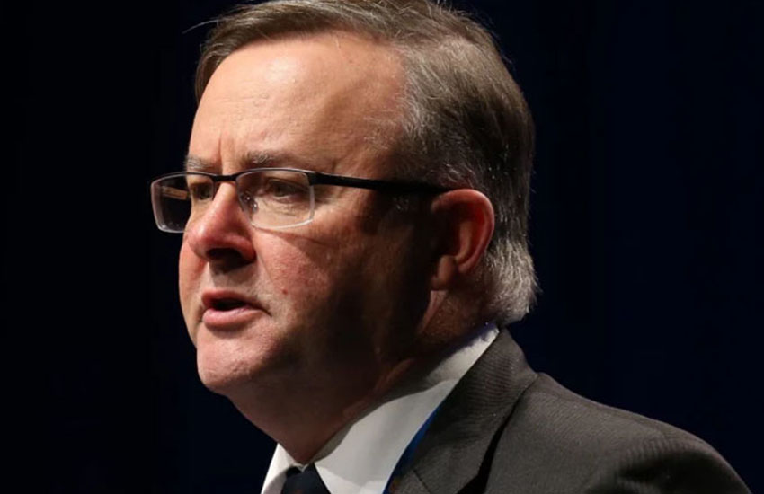 Labor leader Anthony Albanese